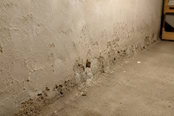 Mur qui s'effrite : que faire ?